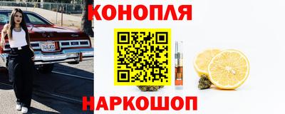 индика Заводоуковск
