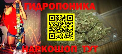 индика Заводоуковск