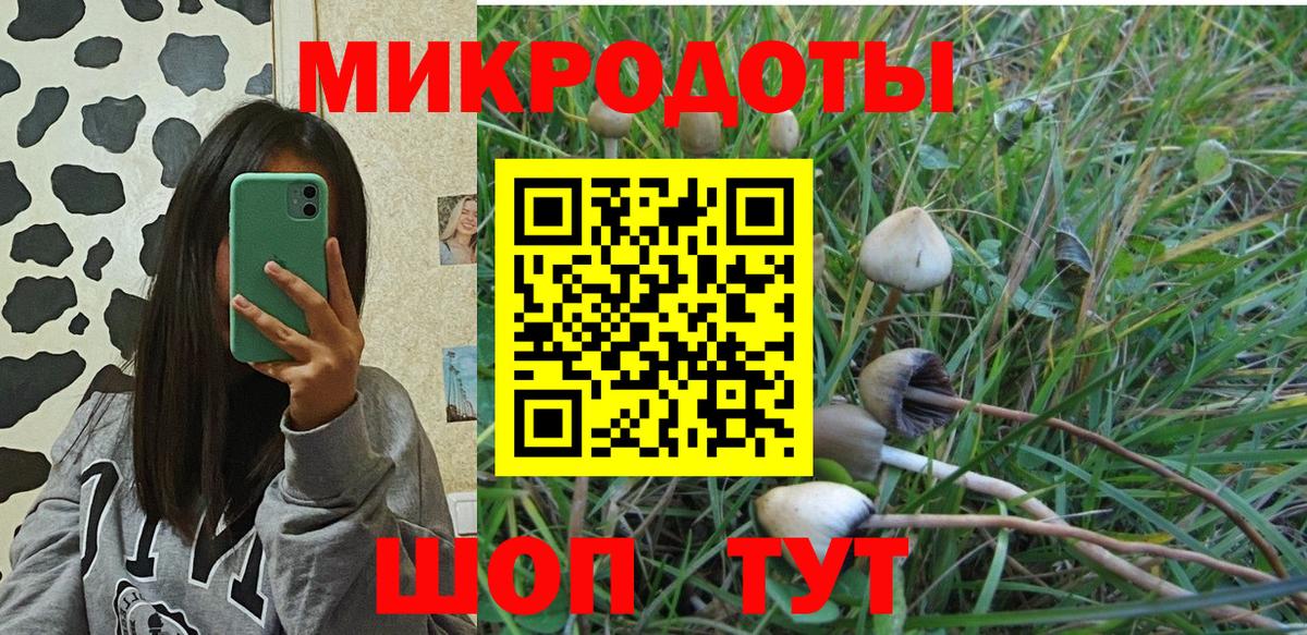 продажа наркотиков  Галлюциногенные грибы ЛСД  Людиново  Вход с VPN  Галлюциногенные грибы мухоморы 
